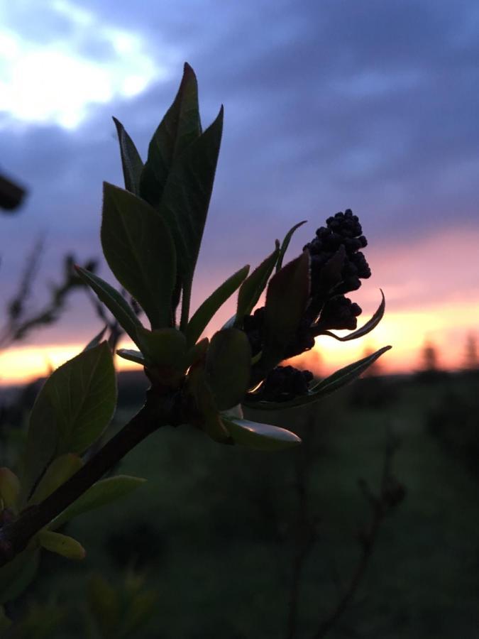 Wygodny Murowany Domek- Nowy Dabki Bagian luar foto