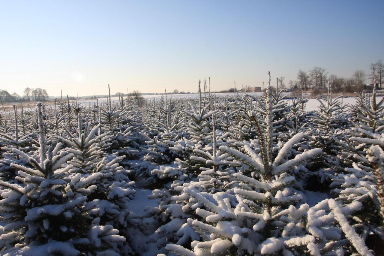Wygodny Murowany Domek- Nowy Dabki Bagian luar foto