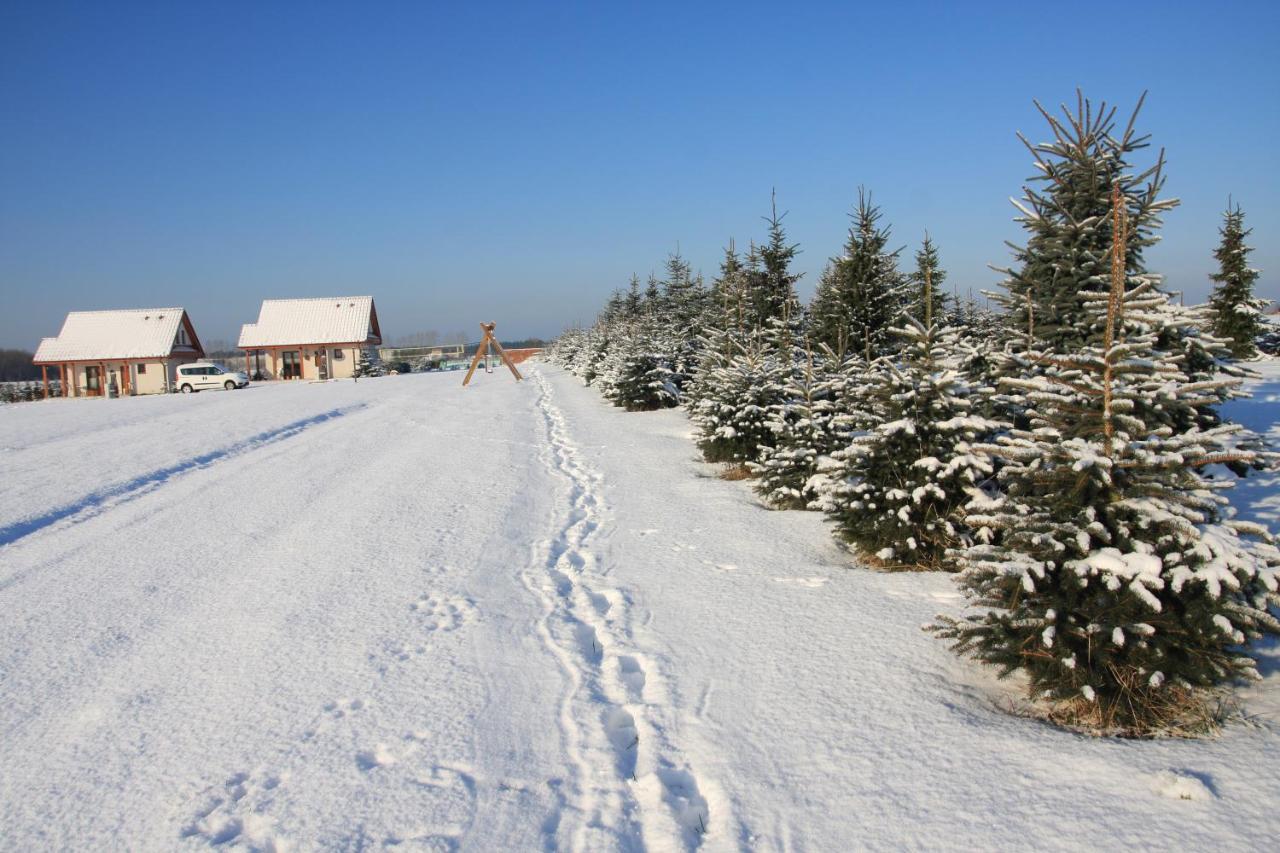 Wygodny Murowany Domek- Nowy Dabki Bagian luar foto