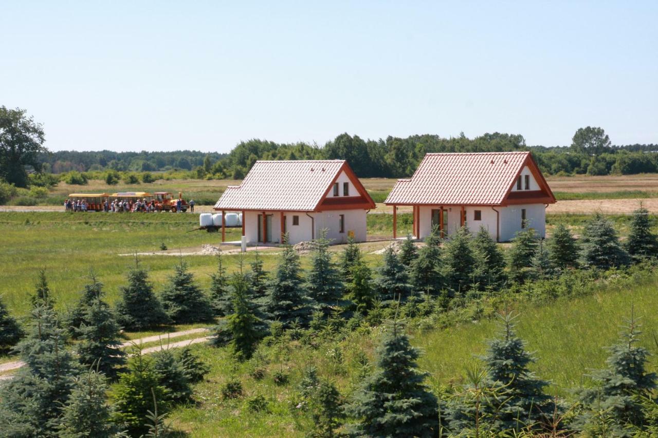 Wygodny Murowany Domek- Nowy Dabki Bagian luar foto